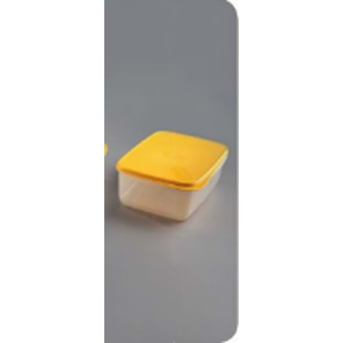 KAVİS SAKLAMA KABI KİNG BOX 1 NO:1 K-0067